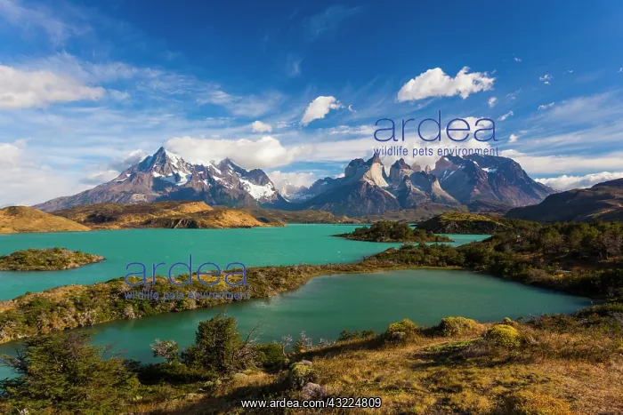 : Chile, Magallanes Region, Torres del Paine : Chile, Magallanes Region, Torres del Paine