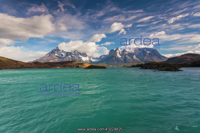 : Chile, Magallanes Region, Torres del Paine : Chile, Magallanes Region, Torres del Paine