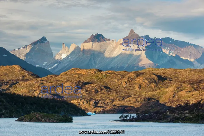 : Chile, Magallanes Region, Torres del Paine : Chile, Magallanes Region, Torres del Paine