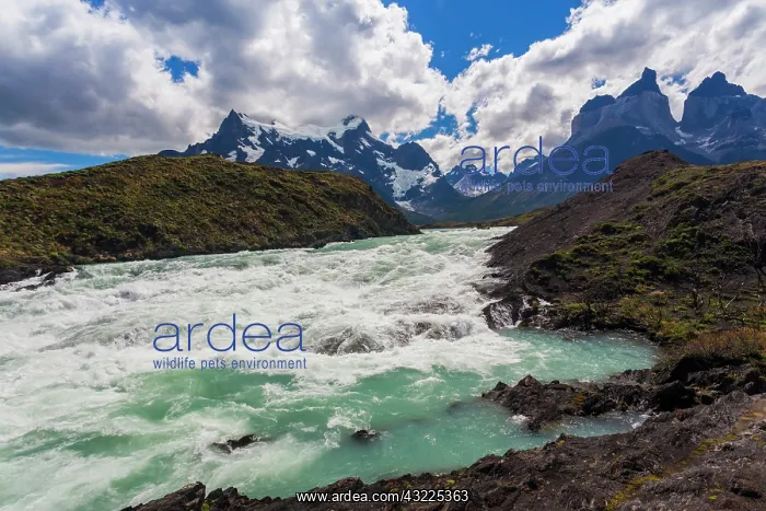 : Chile, Magallanes Region, Torres del Paine : Chile, Magallanes Region, Torres del Paine