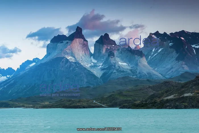 : Chile, Magallanes Region, Torres del Paine : Chile, Magallanes Region, Torres del Paine