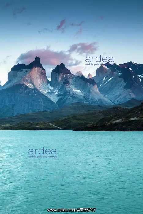 : Chile, Magallanes Region, Torres del Paine : Chile, Magallanes Region, Torres del Paine