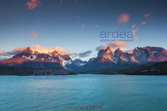 : Chile, Magallanes Region, Torres del Paine : Chile, Magallanes Region, Torres del Paine