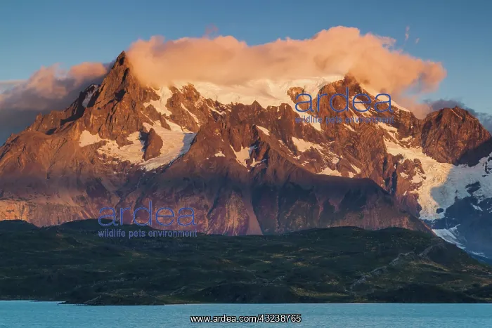 : Chile, Magallanes Region, Torres del Paine : Chile, Magallanes Region, Torres del Paine