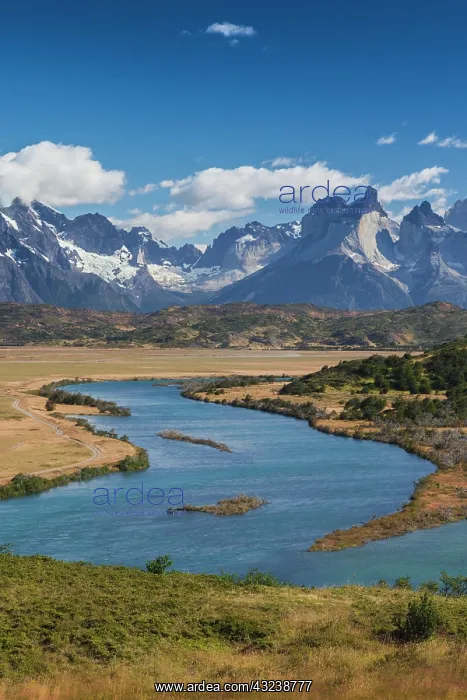 : Chile, Magallanes Region, Torres del Paine : Chile, Magallanes Region, Torres del Paine