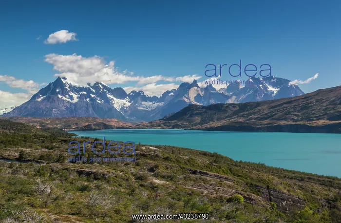 : Chile, Magallanes Region, Torres del Paine : Chile, Magallanes Region, Torres del Paine