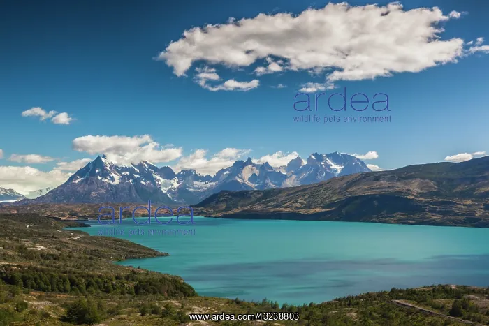 : Chile, Magallanes Region, Torres del Paine : Chile, Magallanes Region, Torres del Paine