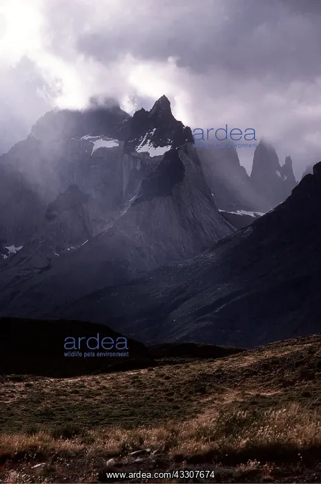 : CHILE - Paine Towers / Torres del Paine National Park : CHILE - Paine Towers / Torres del Paine National Park
