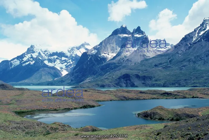 : CHILE - Paine Towers / Torres del Paine, PATAGONIA : CHILE - Paine Towers / Torres del Paine, PATAGONIA