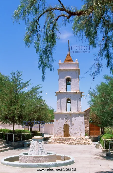 : Chile - Toconao: Church Tower on the edge of Salar : Chile - Toconao: Church Tower on the edge of Salar