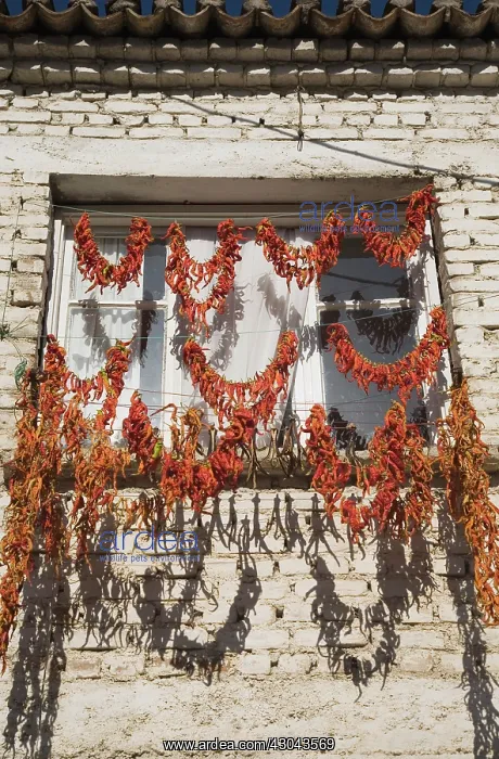 : Chilli. Turkey, Aydin Province, Kusadasi, Strings of red : Chilli. Turkey, Aydin Province, Kusadasi, Strings of red