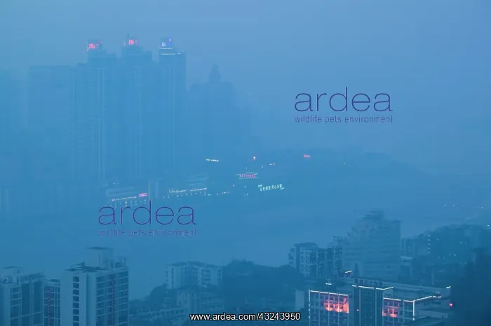 : CHINA, Chongqing Province, Chongqing City : CHINA, Chongqing Province, Chongqing City