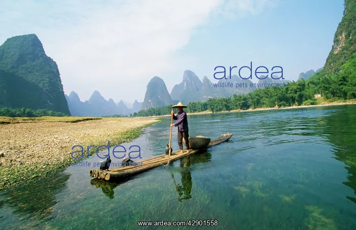 : CHINA fisherman with Cormorant birds on Li River : CHINA fisherman with Cormorant birds on Li River
