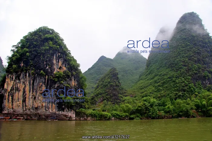 : China, Guangxi, Guilin, Li River. Misty : China, Guangxi, Guilin, Li River. Misty