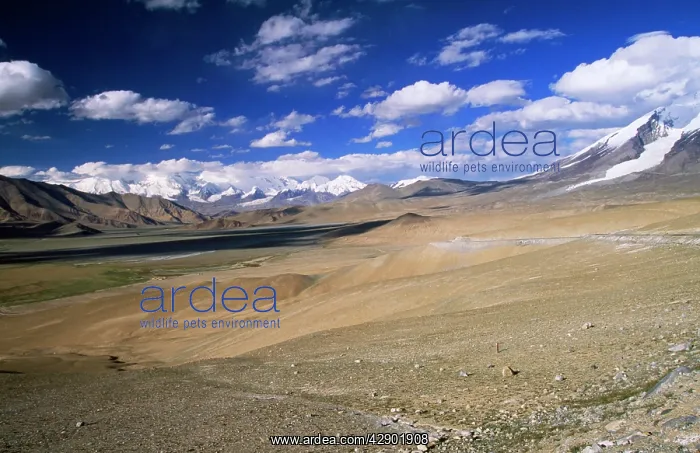  : CHINA Karakuli Lake, Pamir Plateau Xinjiang