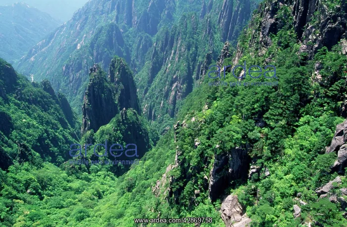 : China. Mount Huangshan, The Yellow Mountains Anhui Province : China. Mount Huangshan, The Yellow Mountains Anhui Province