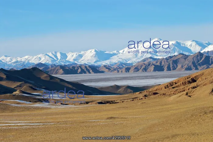 : China - North eastern edge of the tibetan plateau : China - North eastern edge of the tibetan plateau