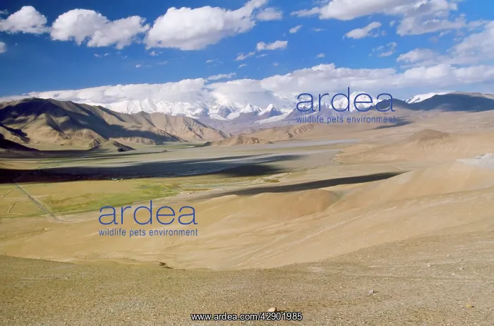  : China. Pamir Plateau, Gobi Desert Xinjiang