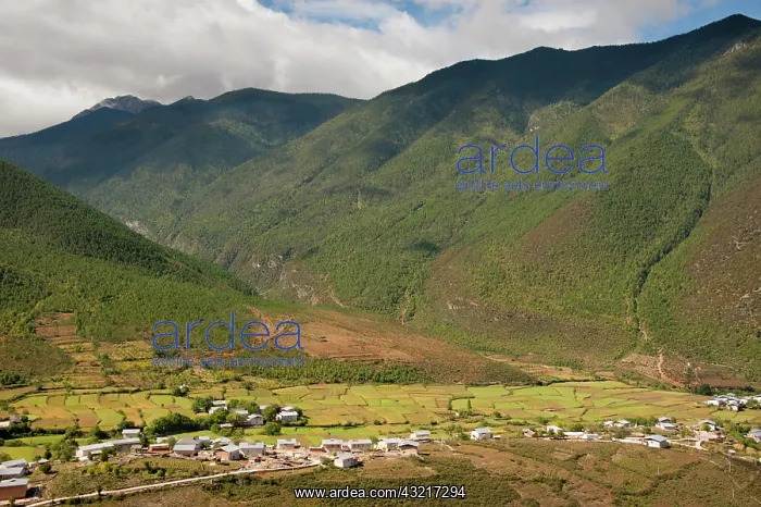  : China, Yunnan, Guo Dao 214. Nixi village