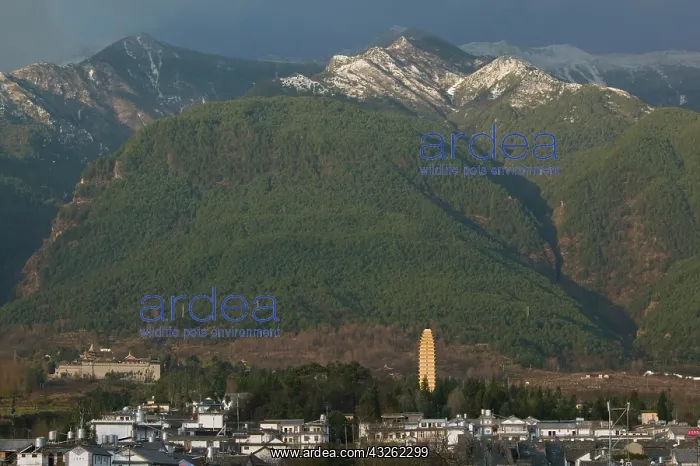 : CHINA, Yunnan Province, Dali. Dali Old Town- : CHINA, Yunnan Province, Dali. Dali Old Town-