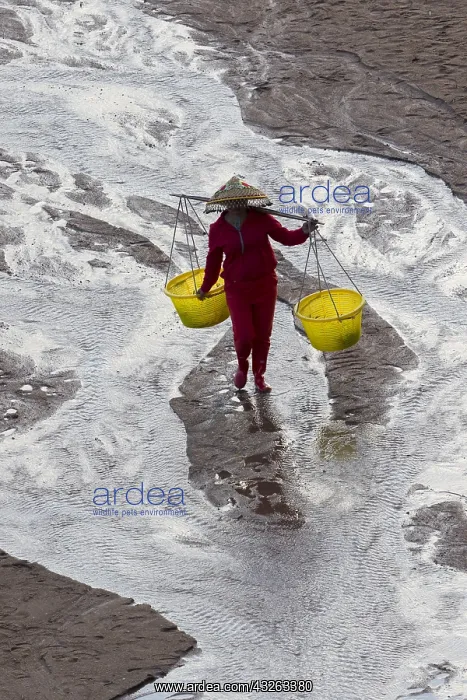 : Chine, Chine du Sud, Province de Fujiang : Chine, Chine du Sud, Province de Fujiang