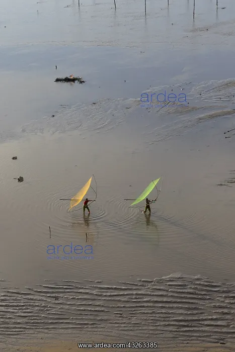 : Chine, Chine du Sud, Province de Fujiang : Chine, Chine du Sud, Province de Fujiang
