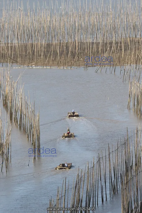 : Chine, Chine du Sud, Province de Fujiang : Chine, Chine du Sud, Province de Fujiang