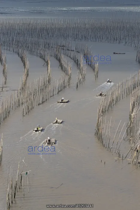 : Chine, Chine du Sud, Province de Fujiang : Chine, Chine du Sud, Province de Fujiang