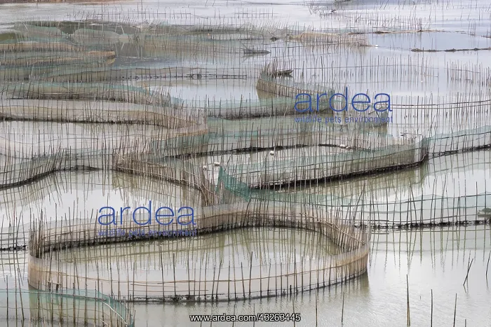 : Chine, Chine du Sud, Province de Fujiang : Chine, Chine du Sud, Province de Fujiang