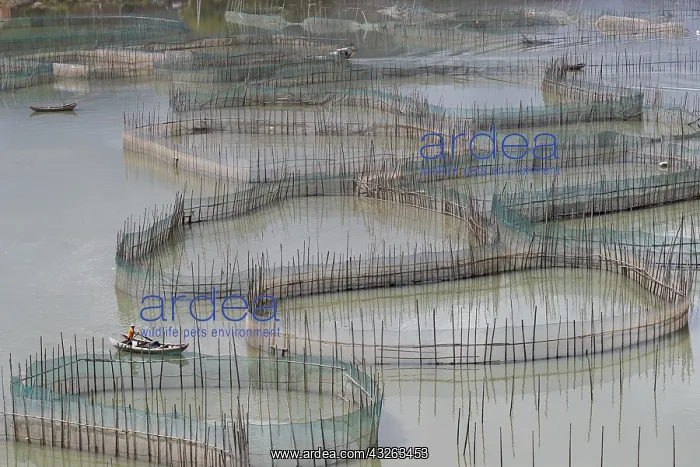 : Chine, Chine du Sud, Province de Fujiang : Chine, Chine du Sud, Province de Fujiang
