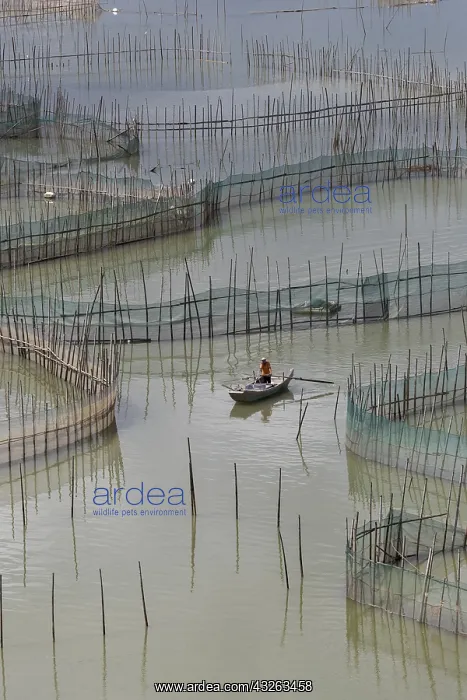 : Chine, Chine du Sud, Province de Fujiang : Chine, Chine du Sud, Province de Fujiang
