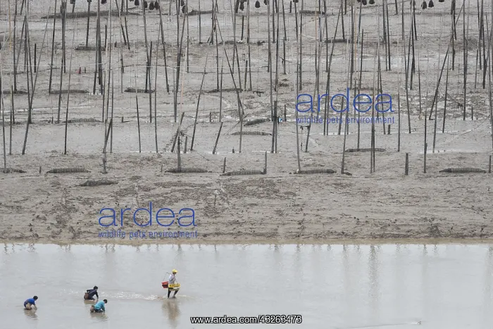 : Chine, Chine du Sud, Province de Fujiang : Chine, Chine du Sud, Province de Fujiang