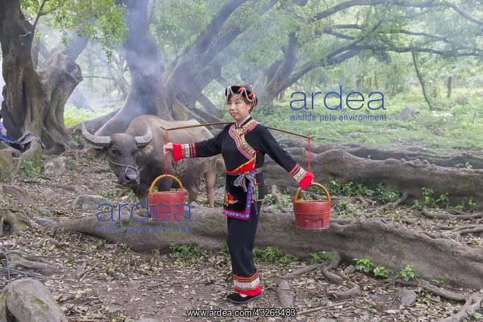 : Chine, Chine du Sud, Province de Fujiang : Chine, Chine du Sud, Province de Fujiang