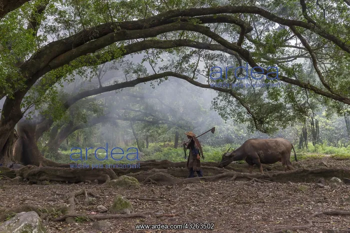 : Chine, Chine du Sud, Province de Fujiang : Chine, Chine du Sud, Province de Fujiang