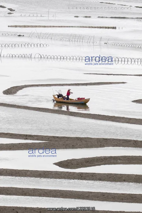 : Chine, Chine du Sud, Province de Fujiang : Chine, Chine du Sud, Province de Fujiang