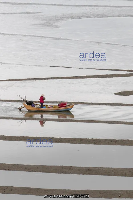 : Chine, Chine du Sud, Province de Fujiang : Chine, Chine du Sud, Province de Fujiang