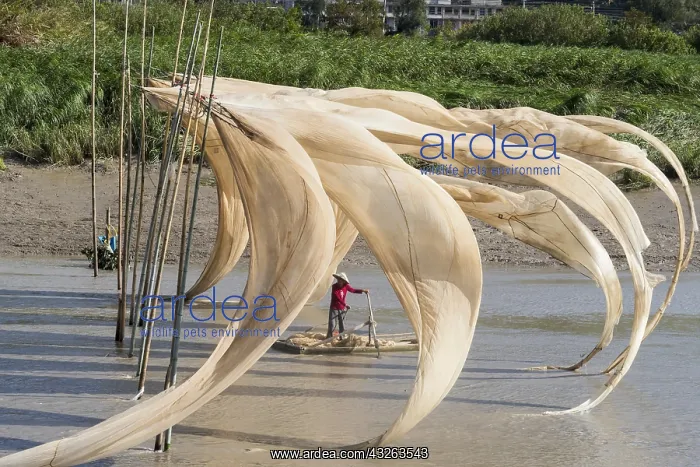 : Chine, Chine du Sud, Province de Fujiang : Chine, Chine du Sud, Province de Fujiang