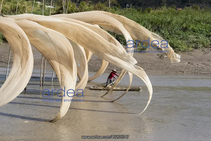  : Chine, Chine du Sud, Province de Fujiang