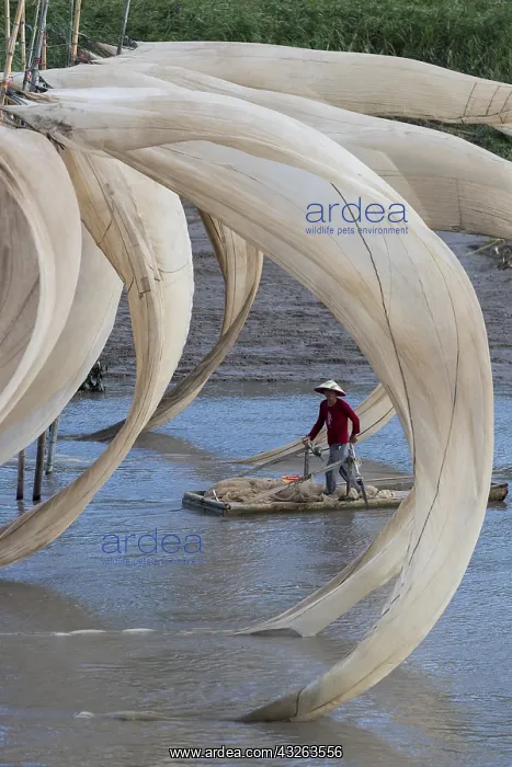 : Chine, Chine du Sud, Province de Fujiang : Chine, Chine du Sud, Province de Fujiang