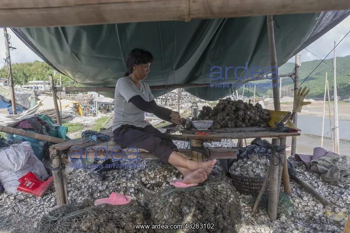: Chine, Chine du Sud, Province de Fujiang : Chine, Chine du Sud, Province de Fujiang