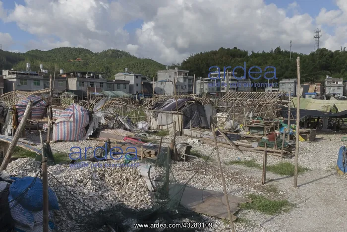 : Chine, Chine du Sud, Province de Fujiang : Chine, Chine du Sud, Province de Fujiang