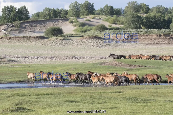 : Chine, Mongolie interieure Province de Heibei : Chine, Mongolie interieure Province de Heibei