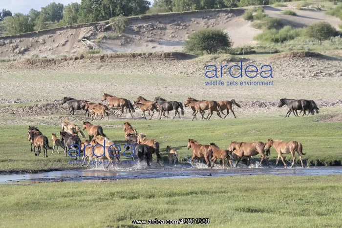 : Chine, Mongolie interieure Province de Heibei : Chine, Mongolie interieure Province de Heibei