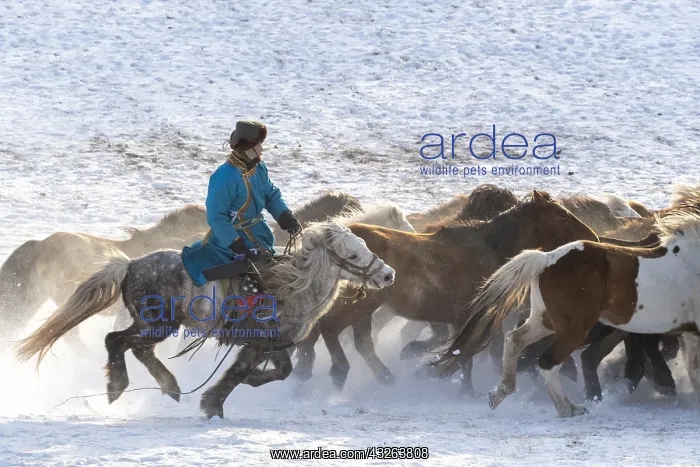  : Chine, Mongolie interieure Province de Heibei