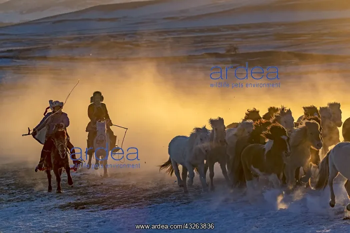 : Chine, Mongolie interieure Province de Heibei : Chine, Mongolie interieure Province de Heibei