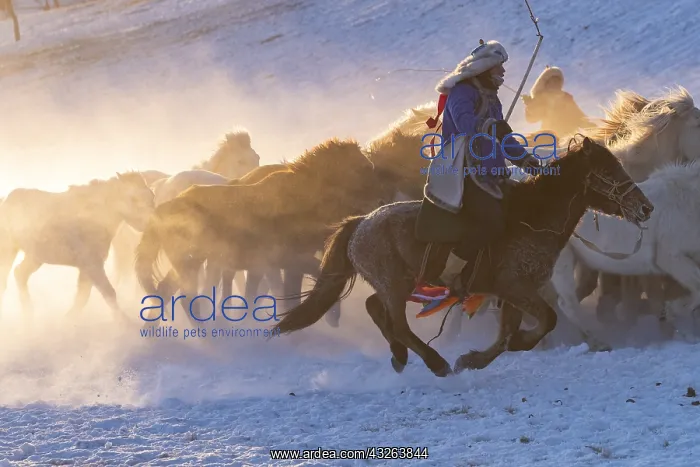 : Chine, Mongolie interieure Province de Heibei : Chine, Mongolie interieure Province de Heibei