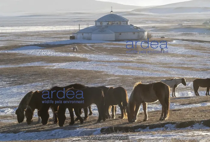 : Chine, Mongolie interieure Province de Heibei : Chine, Mongolie interieure Province de Heibei