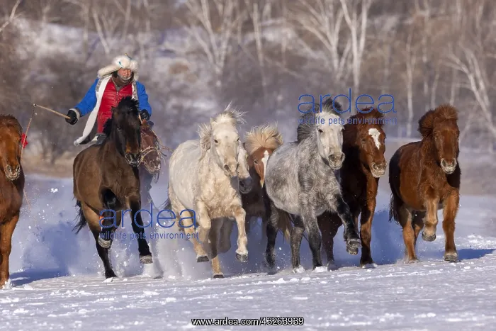 : Chine, Mongolie interieure Province de Heibei : Chine, Mongolie interieure Province de Heibei
