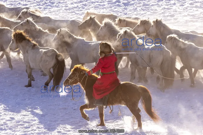 : Chine, Mongolie interieure Province de Heibei : Chine, Mongolie interieure Province de Heibei