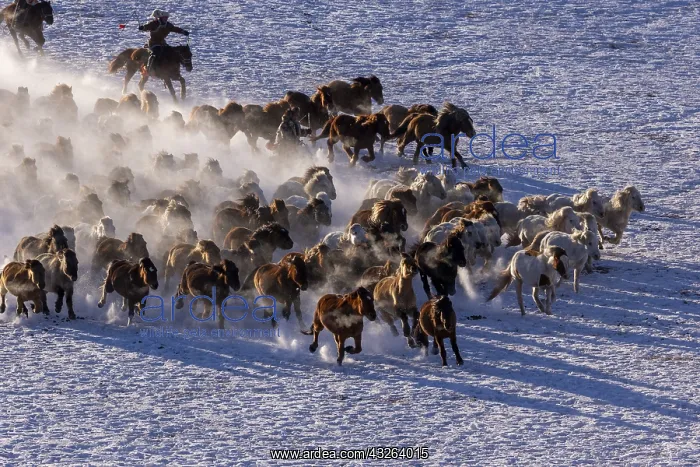 : Chine, Mongolie interieure Province de Heibei : Chine, Mongolie interieure Province de Heibei